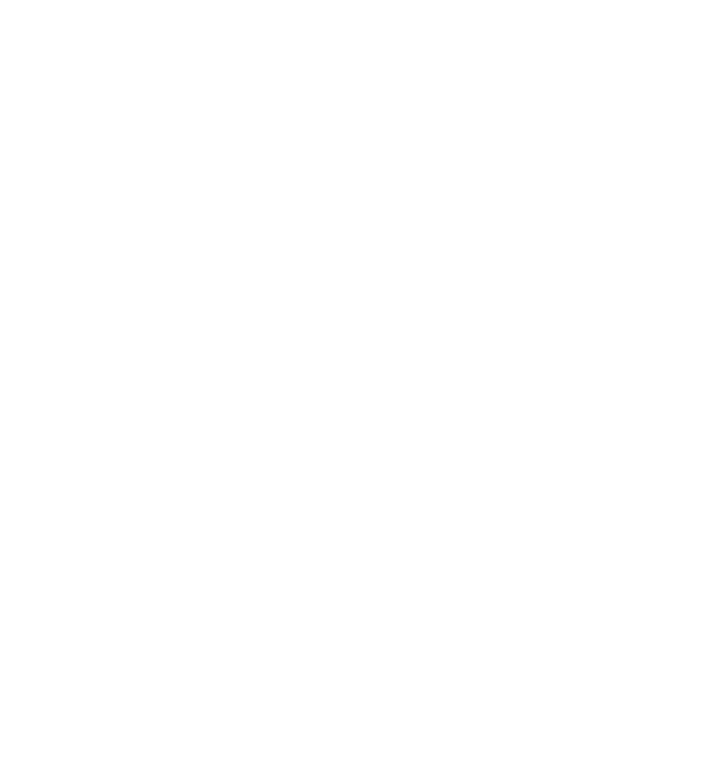 logo hayes_white vers